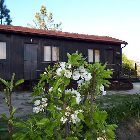 Casinha Do Cedro Villa Baião Eksteriør billede